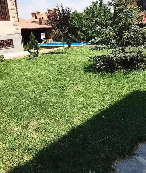 sale-house