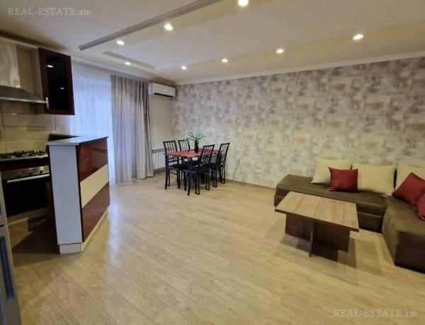 2-senyakanoc-bnakaran-vardzakalutyun-Yerevan-Center