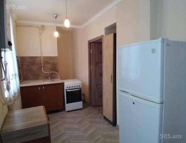 2-senyakanoc-bnakaran-vardzakalutyun-Yerevan-Arabkir