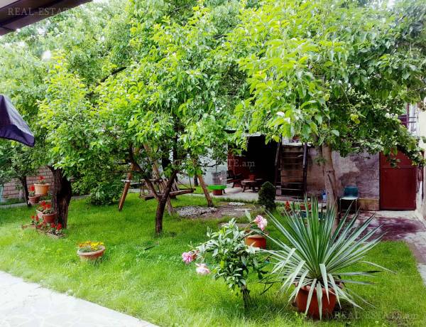 arandznatun-vardzakalutyun-Yerevan-Avan