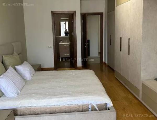 2-senyakanoc-bnakaran-vardzakalutyun-Yerevan-Center