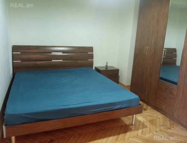 3-senyakanoc-bnakaran-vardzakalutyun-Yerevan-Center