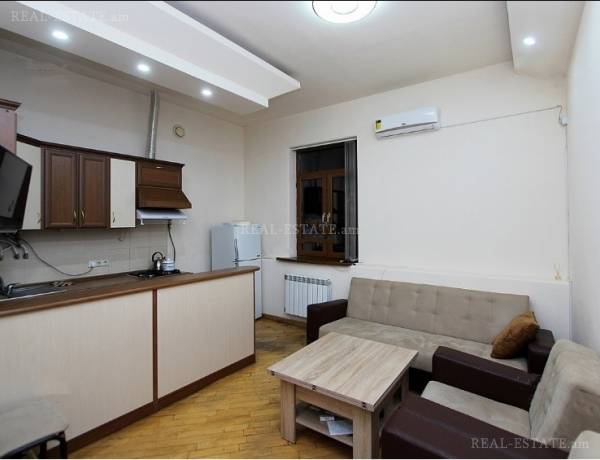 2-senyakanoc-bnakaran-vardzakalutyun-Yerevan-Center