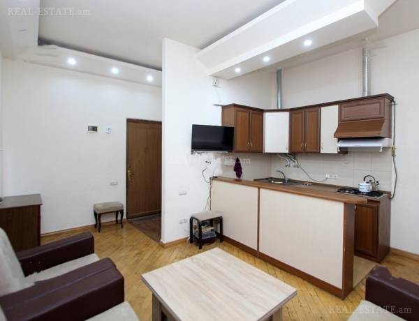 2-senyakanoc-bnakaran-vardzakalutyun-Yerevan-Center