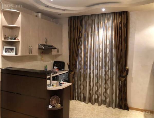2-senyakanoc-bnakaran-vardzakalutyun-Yerevan-Arabkir