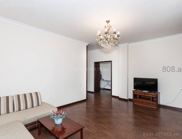2-senyakanoc-bnakaran-vardzakalutyun-Yerevan-Center