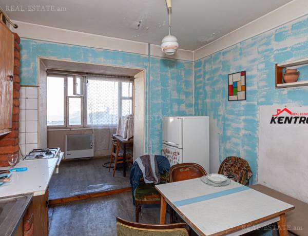 1-senyakanoc-bnakaran-vacharq-Yerevan-Center