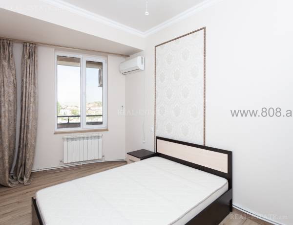2-senyakanoc-bnakaran-vardzakalutyun-Yerevan-Arabkir