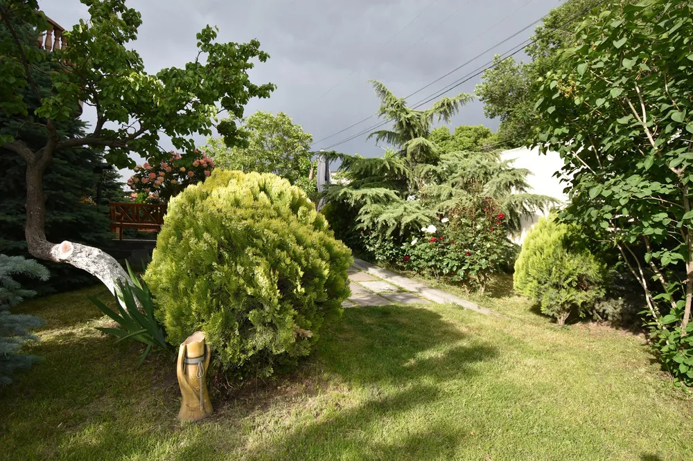 sale-house