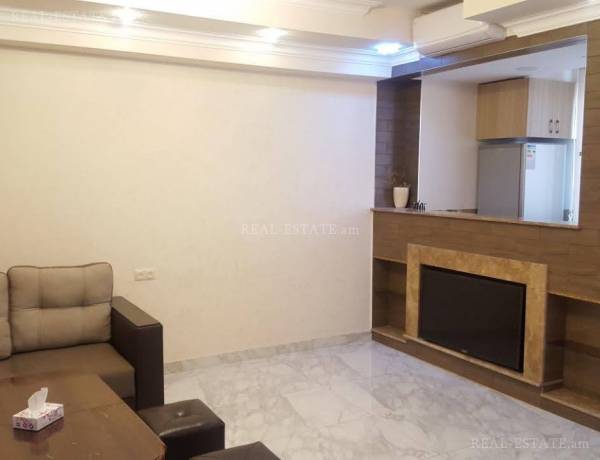 2-senyakanoc-bnakaran-vardzakalutyun-Yerevan-Center