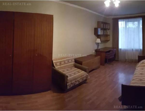 3-senyakanoc-bnakaran-vardzakalutyun-Yerevan-Center