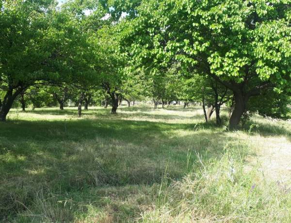 hoghataracq-vacharq-Kotayk-Garni