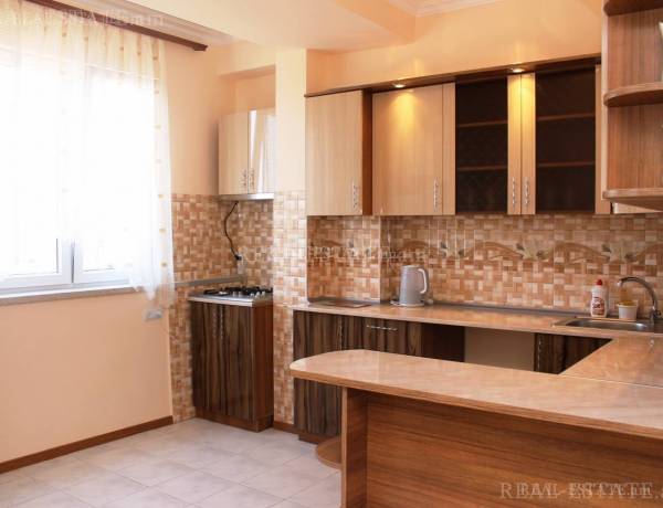 2-senyakanoc-bnakaran-vardzakalutyun-Yerevan-Arabkir
