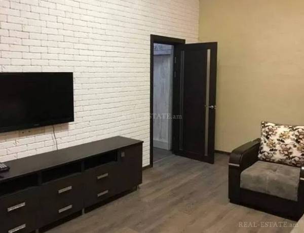 2-senyakanoc-bnakaran-vardzakalutyun-Yerevan-Center