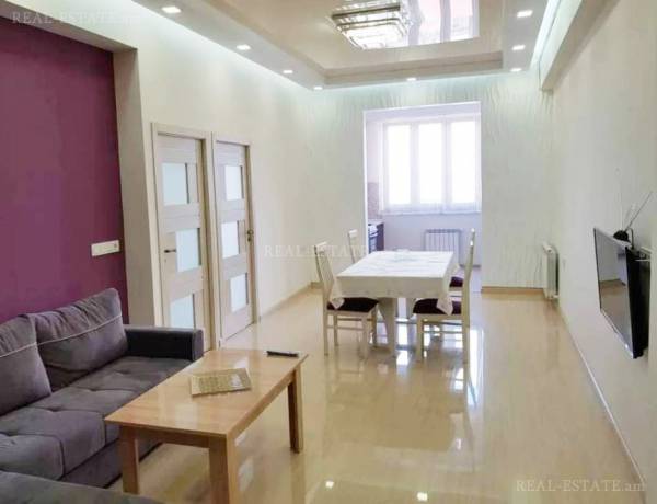 3-senyakanoc-bnakaran-vardzakalutyun-Yerevan-Arabkir