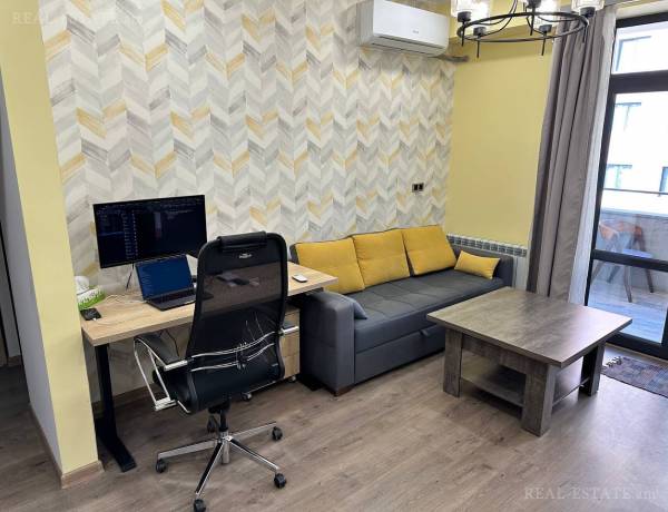 2-senyakanoc-bnakaran-vacharq-Yerevan-Arabkir