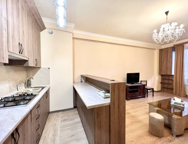 2-senyakanoc-bnakaran-vardzakalutyun-Yerevan-Center
