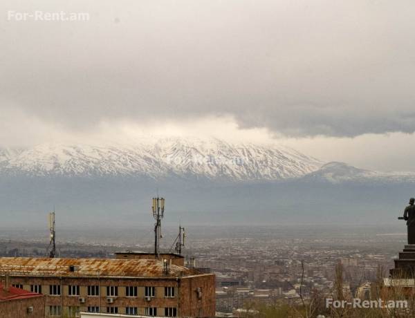 arandznatun-vardzakalutyun-Yerevan-Qanaqer-Zeytun