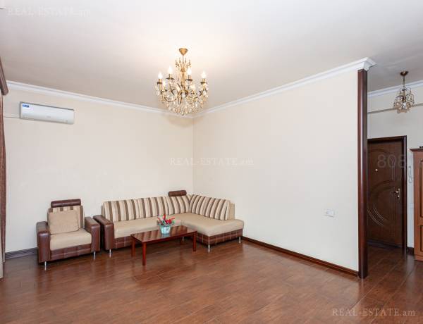 2-senyakanoc-bnakaran-vardzakalutyun-Yerevan-Center