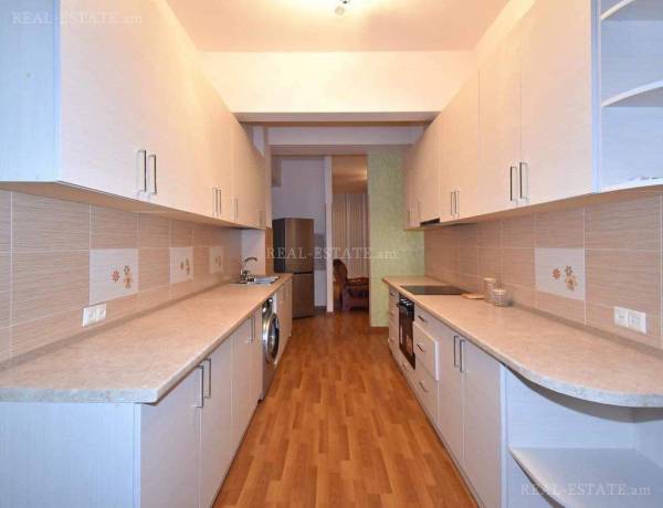 3-senyakanoc-bnakaran-vardzakalutyun-Yerevan-Center