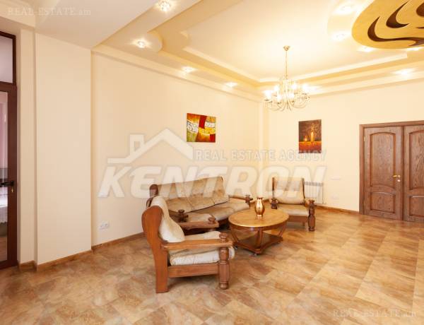 3-senyakanoc-bnakaran-vardzakalutyun-Yerevan-Center