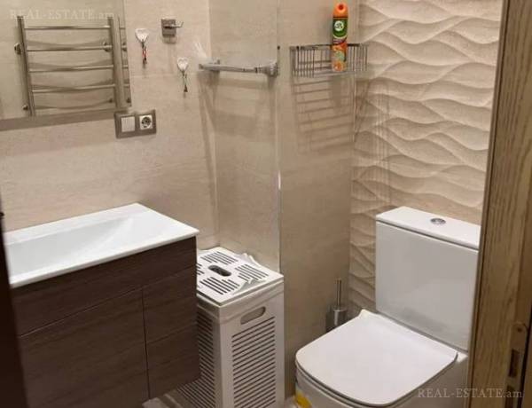 4-senyakanoc-bnakaran-vardzakalutyun-Yerevan-Center
