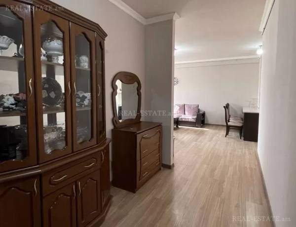 3-senyakanoc-bnakaran-vardzakalutyun-Yerevan-Center