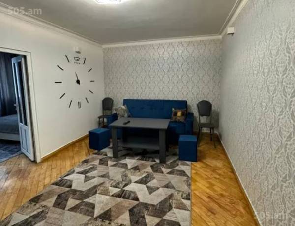 2-senyakanoc-bnakaran-vardzakalutyun-Yerevan-Center