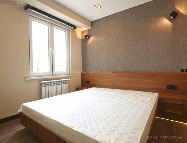 3-senyakanoc-bnakaran-vardzakalutyun-Yerevan-Center