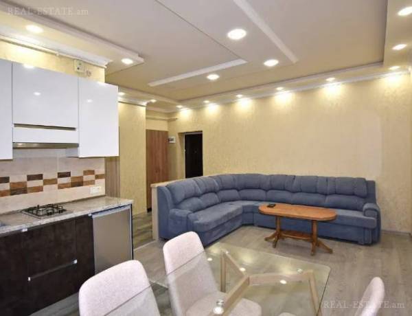 2-senyakanoc-bnakaran-vardzakalutyun-Yerevan-Arabkir