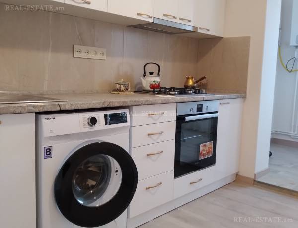 3-senyakanoc-bnakaran-vardzakalutyun-Yerevan-Achapnyak