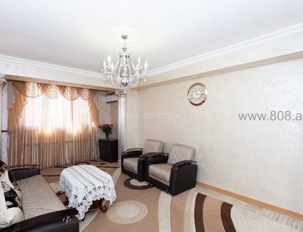 2-senyakanoc-bnakaran-vardzakalutyun-Yerevan-Arabkir