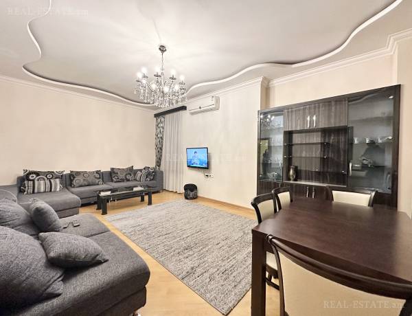 4-senyakanoc-bnakaran-vardzakalutyun-Yerevan-Center