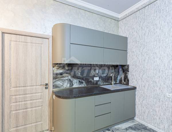 2-senyakanoc-bnakaran-vacharq-Yerevan-Arabkir