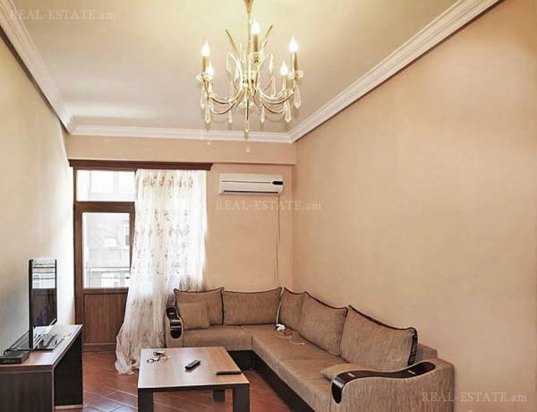 2-senyakanoc-bnakaran-vardzakalutyun-Yerevan-Center