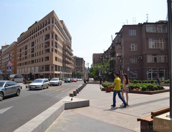 2-senyakanoc-bnakaran-vardzakalutyun-Yerevan-Center