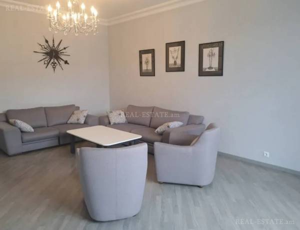 3-senyakanoc-bnakaran-vardzakalutyun-Yerevan-Arabkir