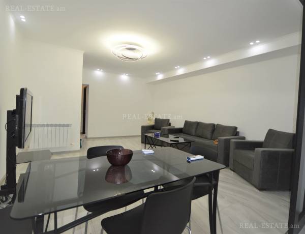 3-senyakanoc-bnakaran-vardzakalutyun-Yerevan-Center