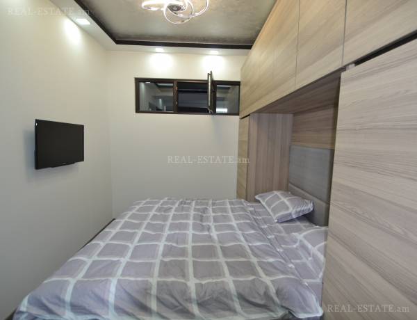3-senyakanoc-bnakaran-vardzakalutyun-Yerevan-Center