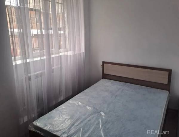 2-senyakanoc-bnakaran-vardzakalutyun-Yerevan-Arabkir