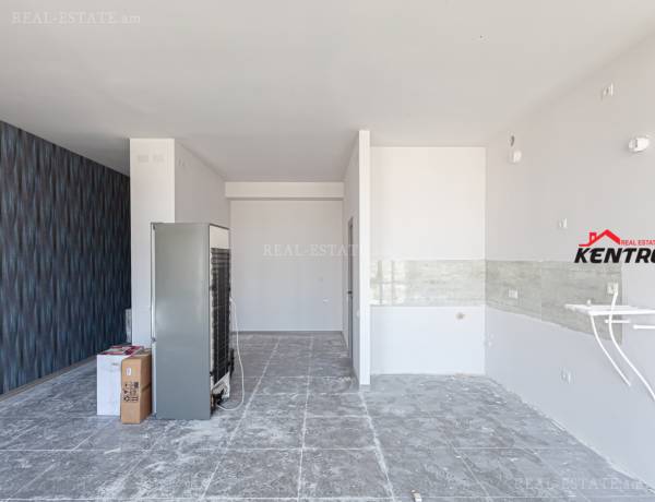 1-senyakanoc-bnakaran-vacharq-Yerevan-Davtashen