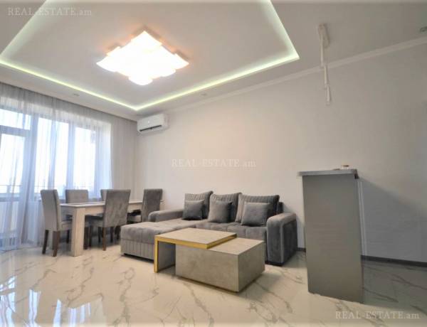 2-senyakanoc-bnakaran-vardzakalutyun-Yerevan-Center