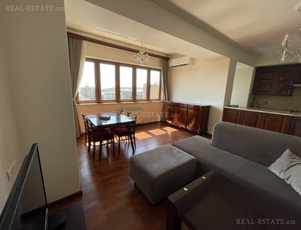 4-senyakanoc-bnakaran-vardzakalutyun-Yerevan-Center