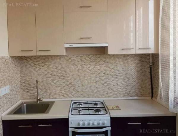 3-senyakanoc-bnakaran-vardzakalutyun-Yerevan-Arabkir