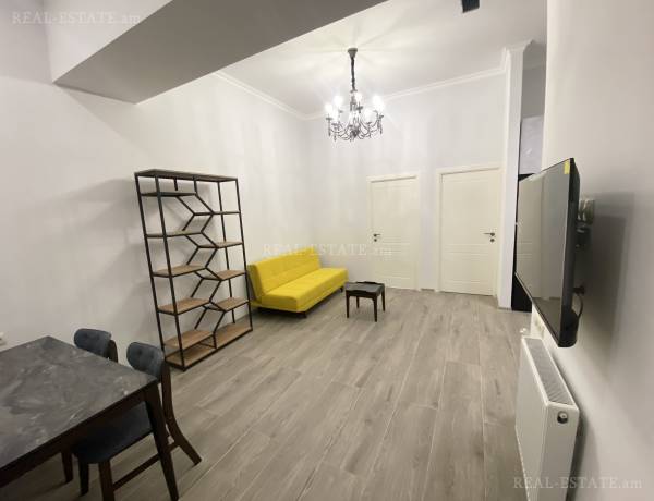 2-senyakanoc-bnakaran-vacharq-Yerevan-Center