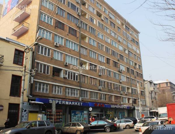 3-senyakanoc-bnakaran-vardzakalutyun-Yerevan-Center
