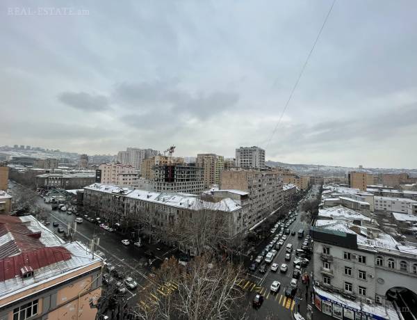2-senyakanoc-bnakaran-vardzakalutyun-Yerevan-Center