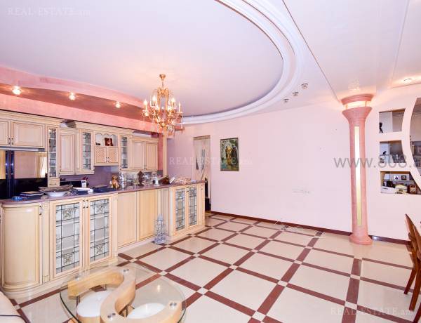 3-senyakanoc-bnakaran-vardzakalutyun-Yerevan-Center