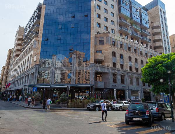 2-senyakanoc-bnakaran-vardzakalutyun-Yerevan-Center