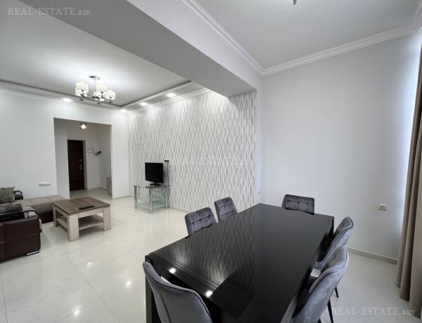 2-senyakanoc-bnakaran-vardzakalutyun-Yerevan-Center
